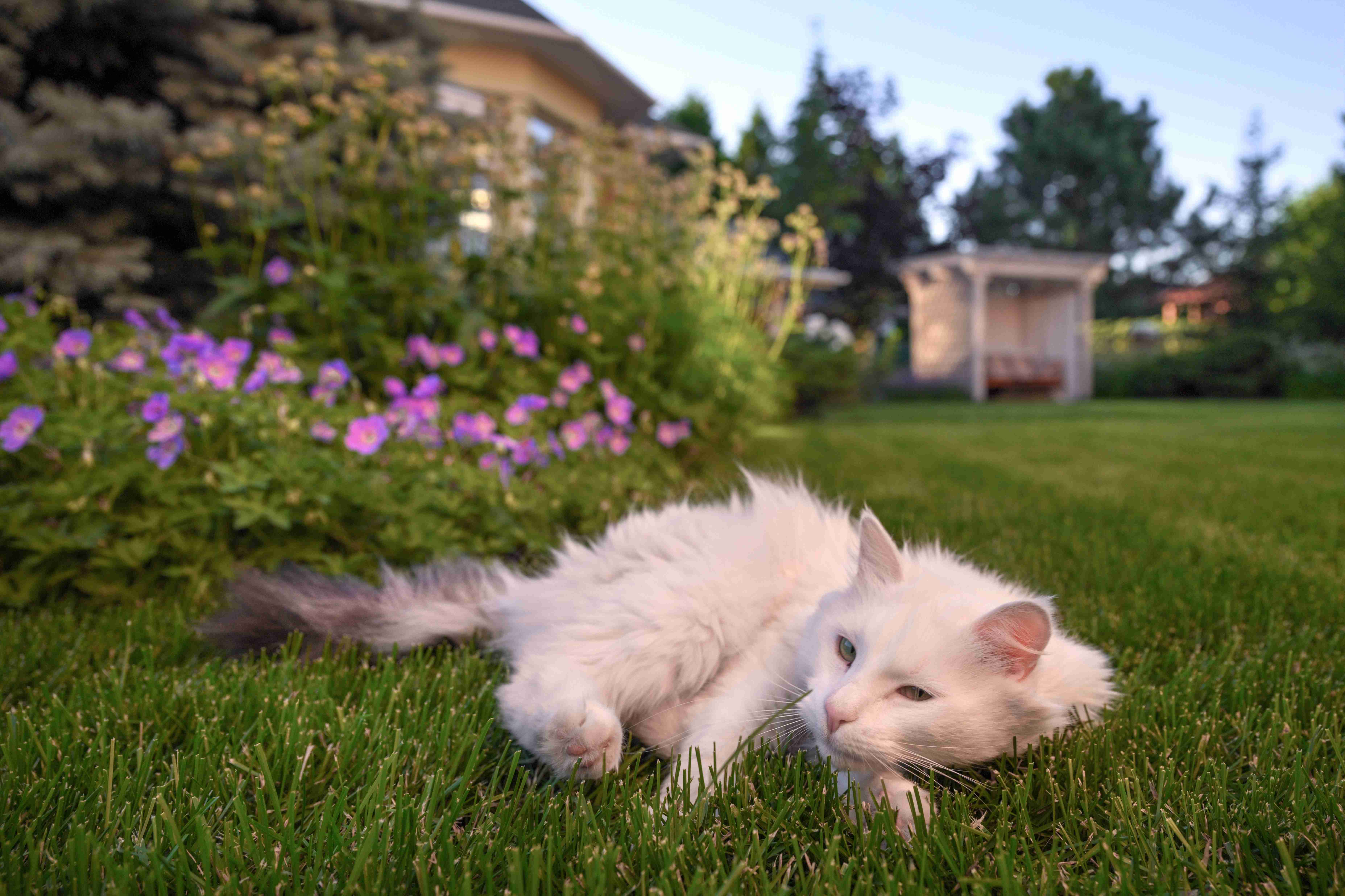 Ваш дом - отражение вашей души