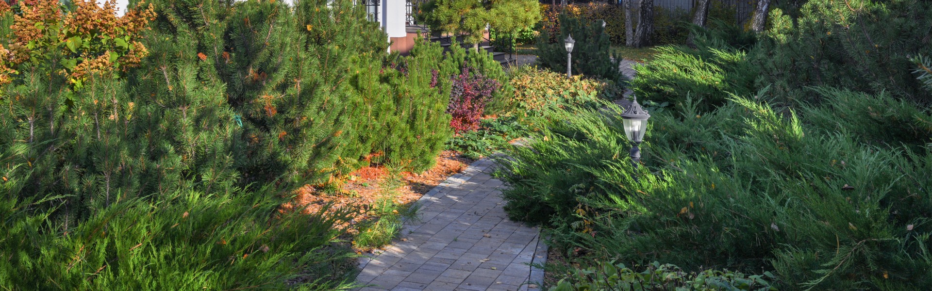 “Зеленый Бор”