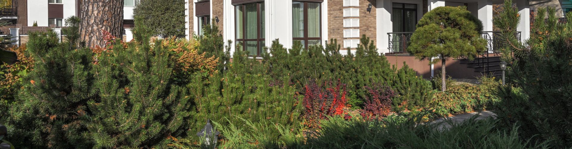 Ландшафт частных садов под ключ