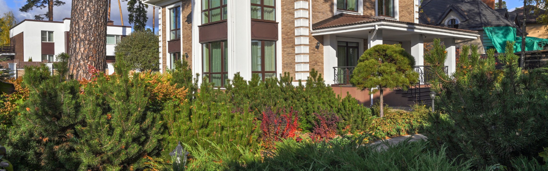 “Зеленый Бор”