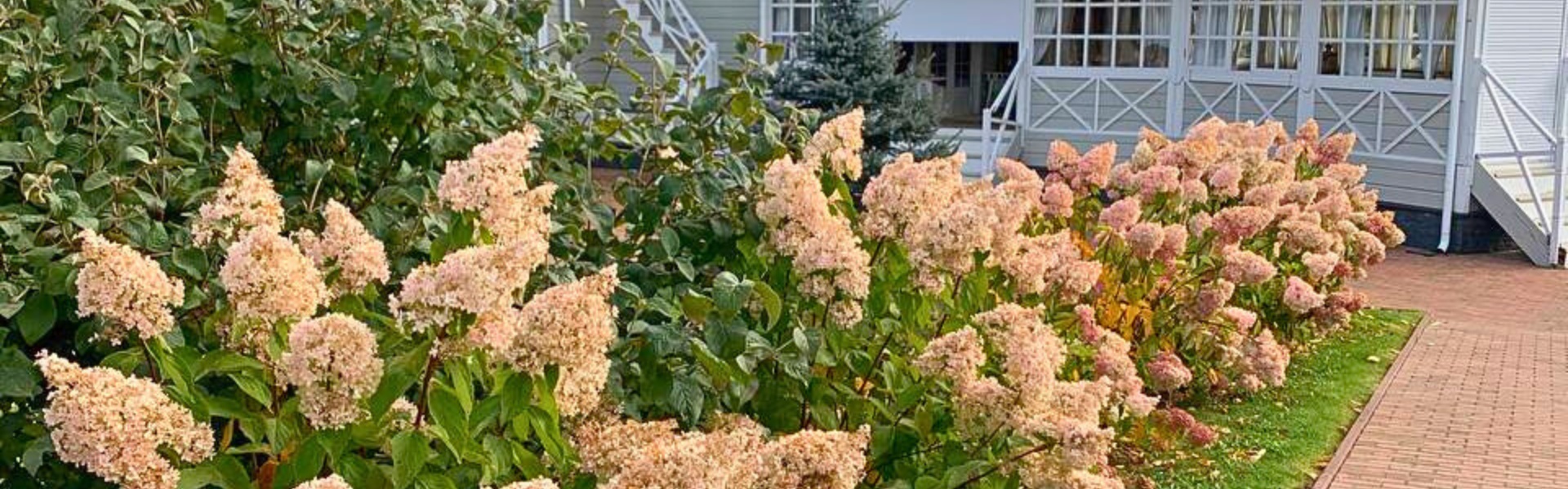 Усадьба «Руза»