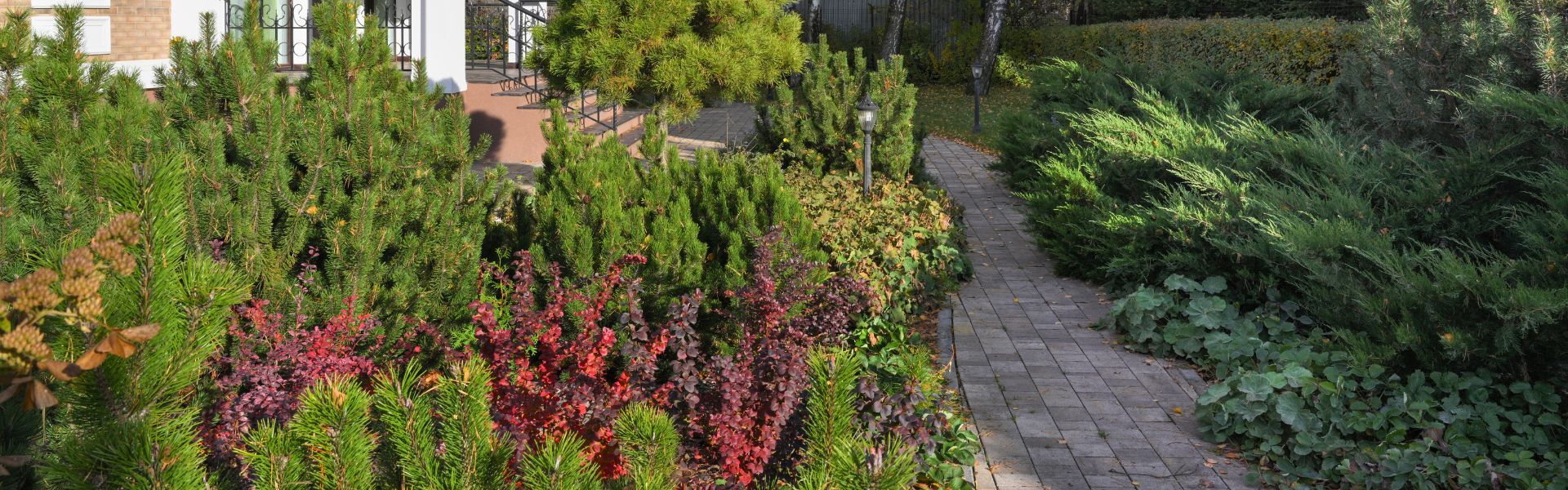 Управление проектом