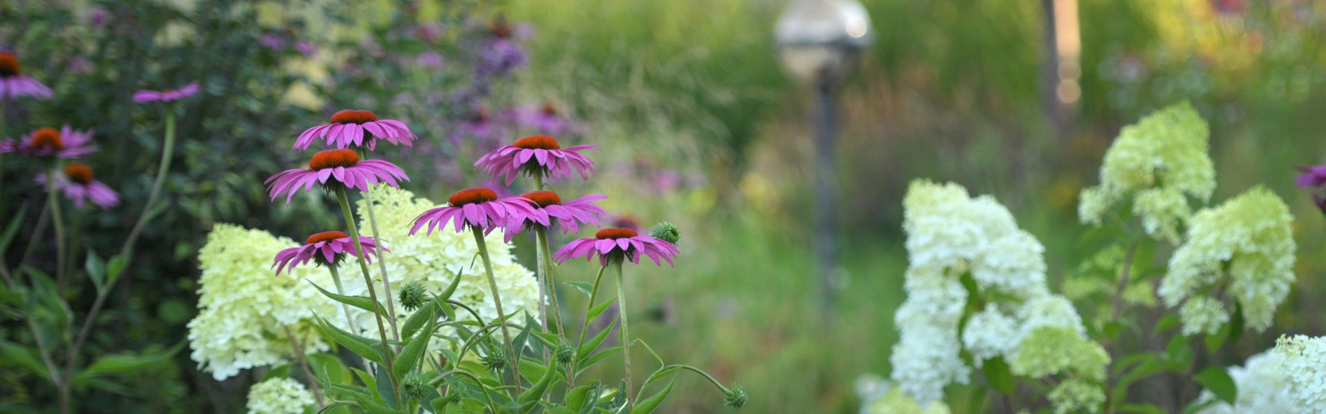 “Тепличное”