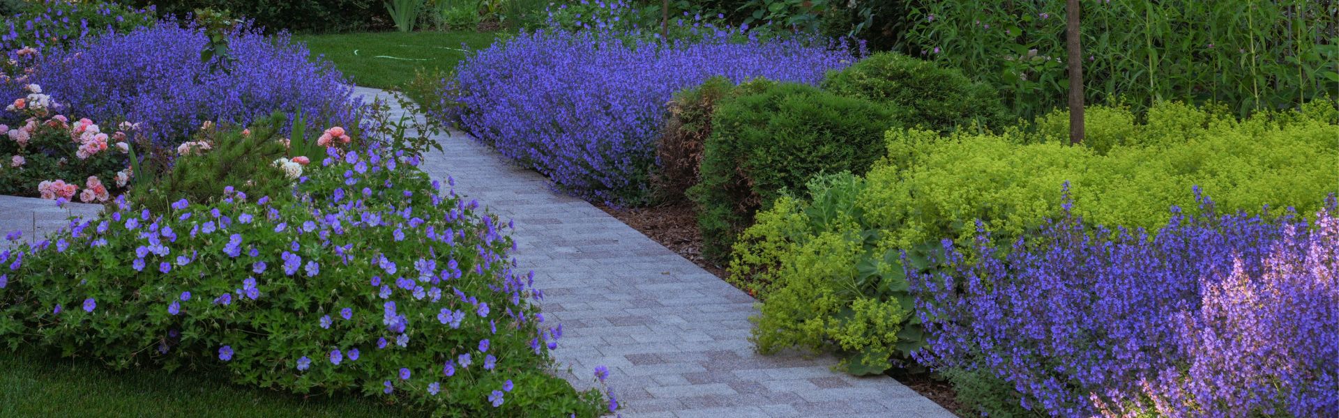 Ландшафтное проектирование