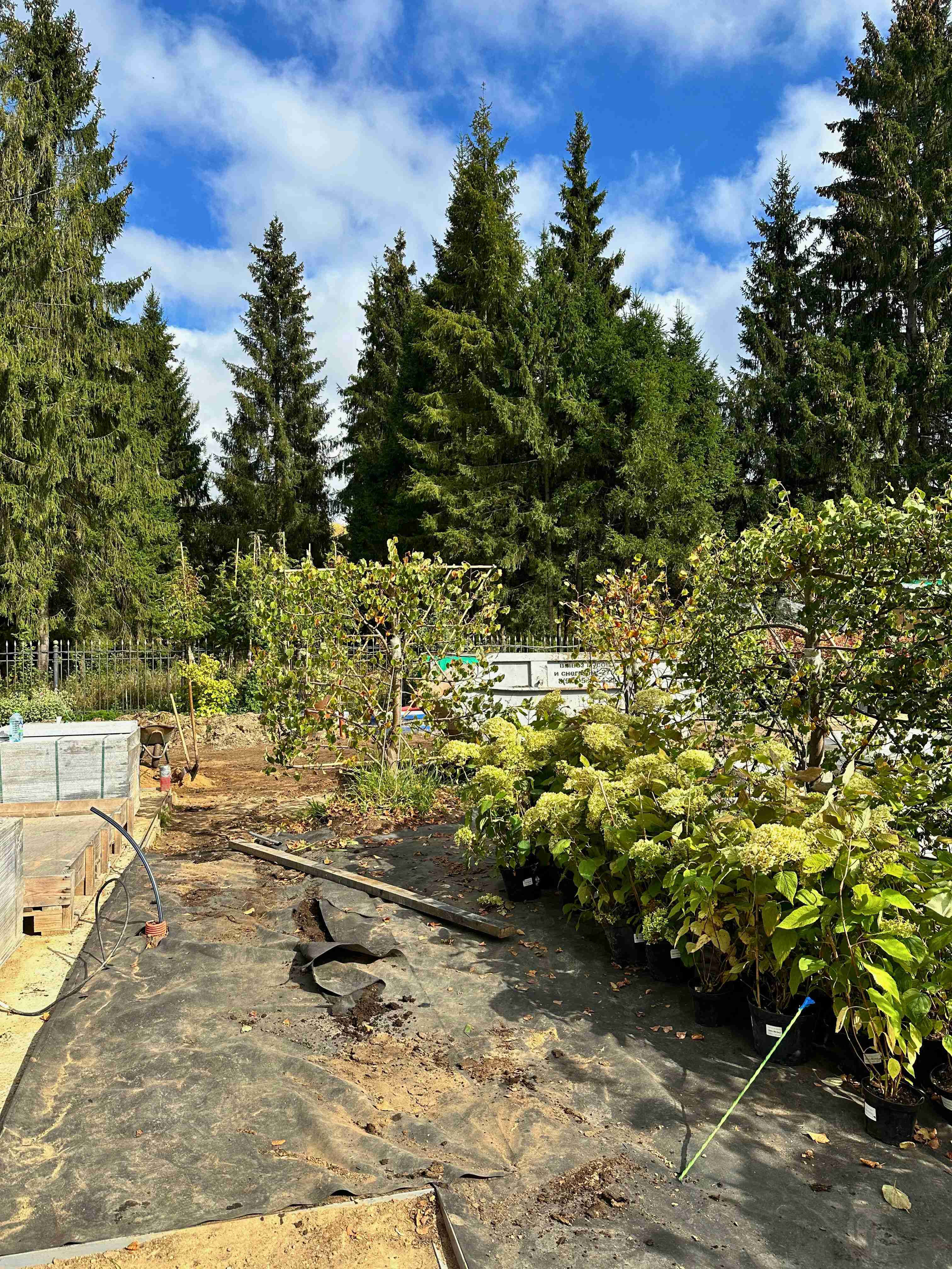 Ландшафтные работы