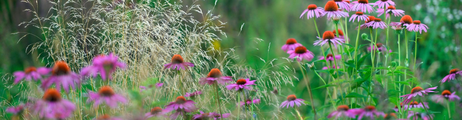 Ландшафт частных садов под ключ